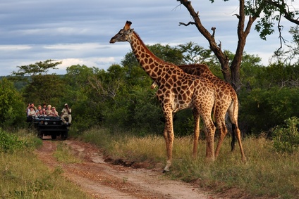 WUNDERLAND Sundowner in Afrika