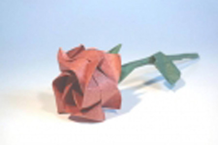 WUNDERLAND Origami