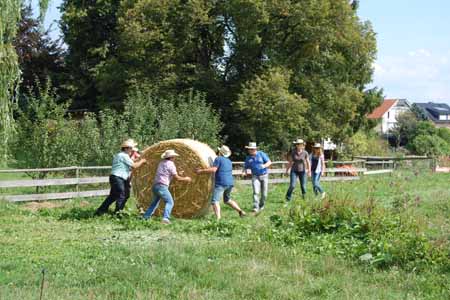 WUNDERLAND Incentives - Bauernhof-Rallye