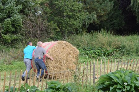 WUNDERLAND Incentives - Bauernhof Rallye