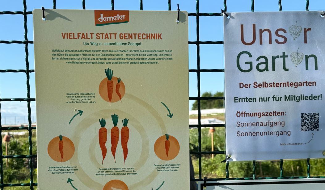 WUNDERLAND Incentives - Teamkochen - Kchenparty