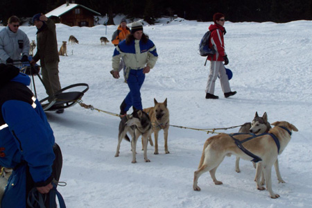 WUNDERLAND Winter Teamparcours