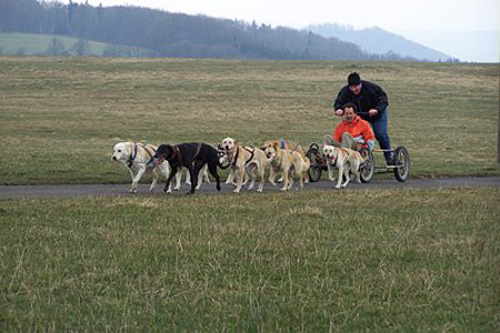 WUNDERLAND Alaska-Feeling Im ewigen Eis?