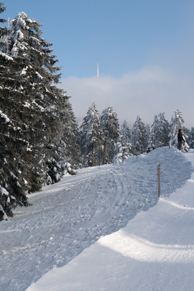 WUNDERLAND Glhweinwanderung