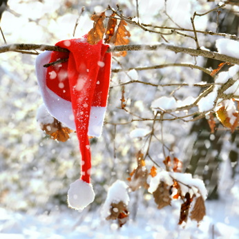 WUNDERLAND Weihnachts-Geocaching