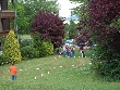 Galerie Teamchallenge245.jpg anzeigen.