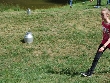 Galerie Teamchallenge443.jpg anzeigen.