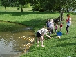 Galerie Teamchallenge846.jpg anzeigen.