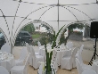 Galerie Hochzeit021.jpg anzeigen.